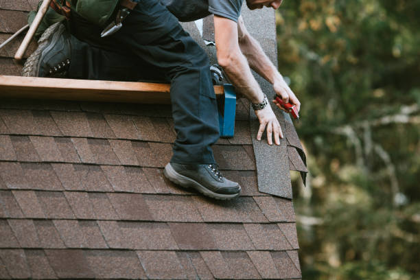 Best Roof Leak Repair  in Winter Gardens, CA
